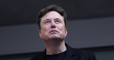 埃隆·马斯克（Elon Musk）……“电子游戏之王”还是只是试图施加影响？